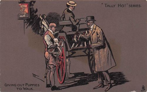 Raphael Tuck Impressionist Tally Ho! Serie Puppies to Walk Postkarte