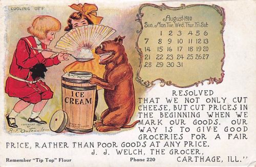 AUG 1908 Buster Brown Tige Calendar Postcard R.P. Turnleys Dept Store