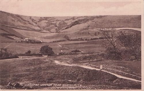 LUCCOMBE COMMON NEAR SHANKLIN. I.W