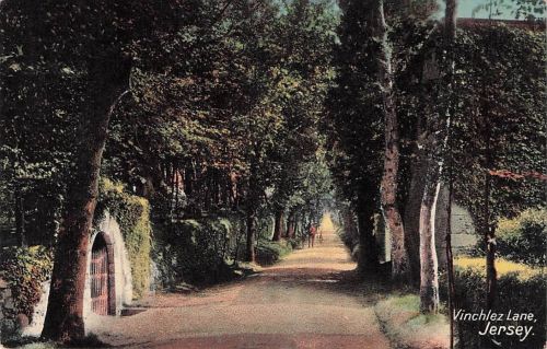 Ak Jersey Kanalinseln, Vinchelez Lane