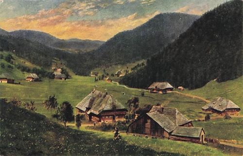 Hoffmann Heinrich Hinter Todtmoos Kat. Kuenstlerkarte