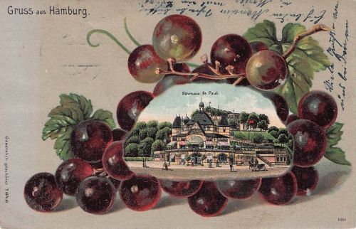 Hamburg Weintrauben Faehrhaus St. Pauli Hamburg Stadtkreis 1905