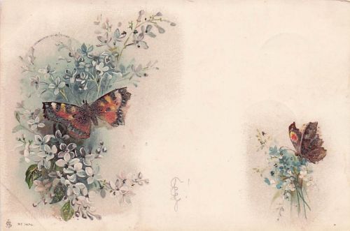 Lithographie Schmetterlinge auf blühenden Blumen