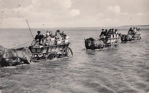 Ansichtskarte Cuxhaven Duhnen Nordseebad Wattfahrt mit Kutsche nach