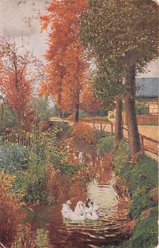 malerische Herbstlandschaft mit einem kleinen Bach, in dem mehrere