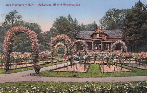 Bad Homburg Molkenanstalt Rosengarten