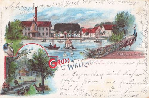 Mülheim Gasthaus Walkmühle Gondelteich Schwäne Rehe Pfaue