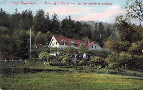Ansichtskarte Bad Harzburg Hotel Silberborn von den Gestütswiesen 1915