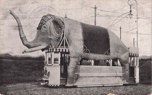 DELFT, NIEDERLANDE ~ WAGEN MIT GROSSER ELEFANTENDEKORATION ~ ca. 1904-14