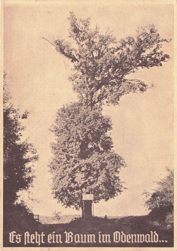 Lutherbaum