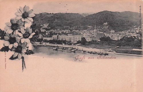 AK Bad Schandau, Gesamtansicht