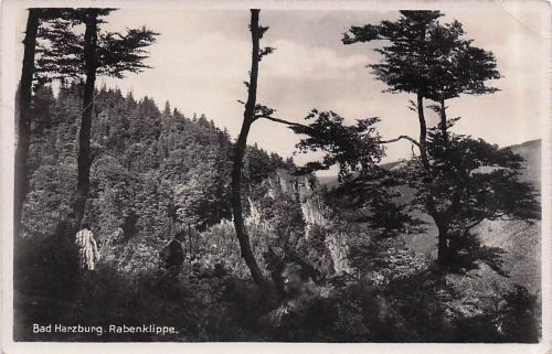 Bad Harzburg. Rabenklippe,