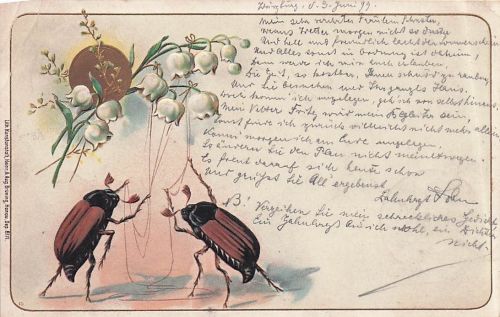 Litho Maikäfer, Maiglöckchen
