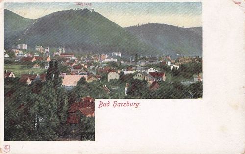 Ak Bad Harzburg im Harz, Gesamtansicht