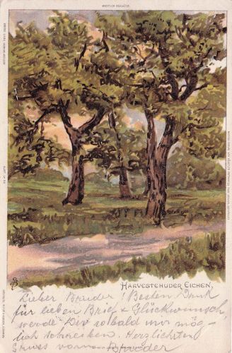 Künstler AK Hamburg-Harvestehude, Harvestehuder Eichen 1900