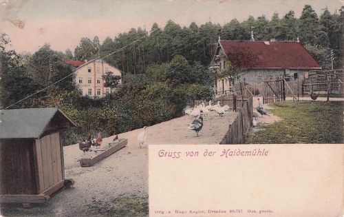 Ak Dresden Loschwitz, Dresdner Heide, Haidemühle im Prießnitzgrund