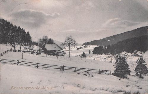 Schwarzwald-Idylle