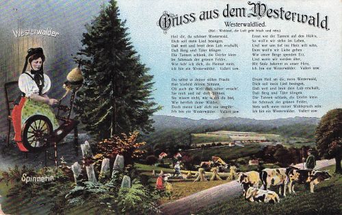AK Westerwaldlied Westerwälder Spinnerin Bauer mit einer Kuhherde 1917 gelaufen