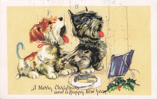 Scottish Terrier