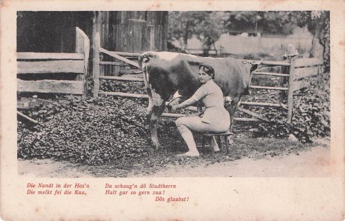 AK Bäuerin melkt eine Kuh und schaut in die Kamera