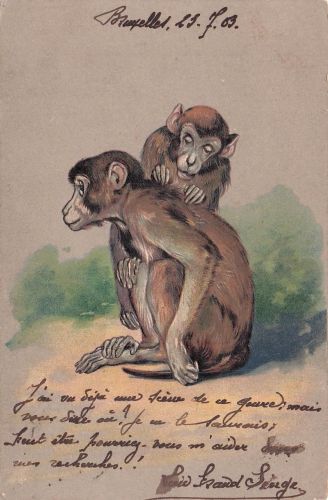 zwei Affen, . Es wurde am 15. Juli 1903 in Brüssel verschickt.