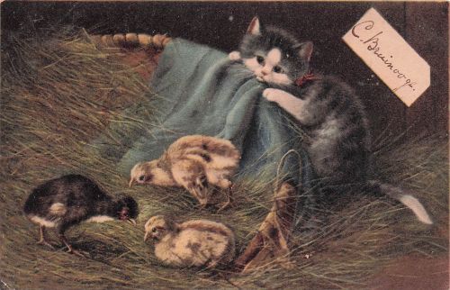 Katze und Küken in der Scheune, französische Postkarte von 1904