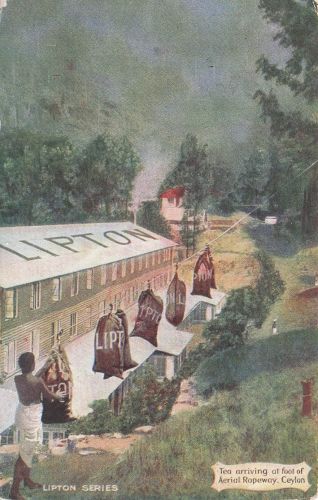 Künstler Ak Ceylon, Tea arriving at foot of Aerial Ropeway, Lipton Teefabrik