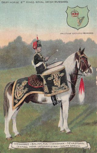 Trommelpferd, 8. Königliche Irische Husaren