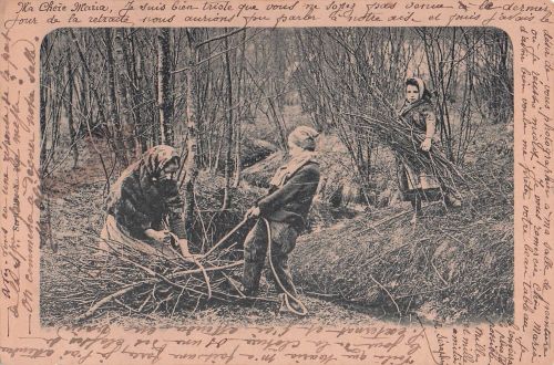 drei Personen, die in einem Wald Äste und Reisig sammeln.