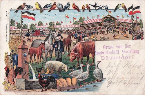 Gruss von der landwirtschaftl. Ausstellung Düsseldorf