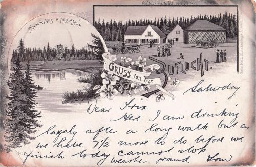 Postkarte Carte Postale Oppenau Gruss von der Zuflucht