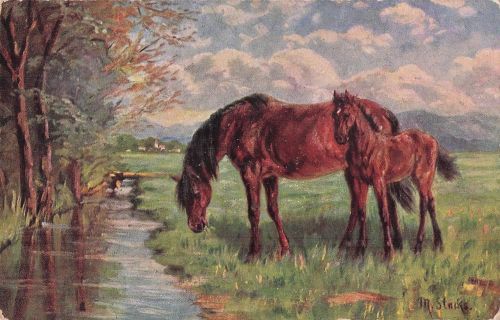 Kunstpostkarte mit zwei Pferden auf einer Wiese an einem Bach.