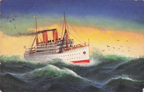 Künstler Ak Tropenpassagierdampfer auf dem Meer