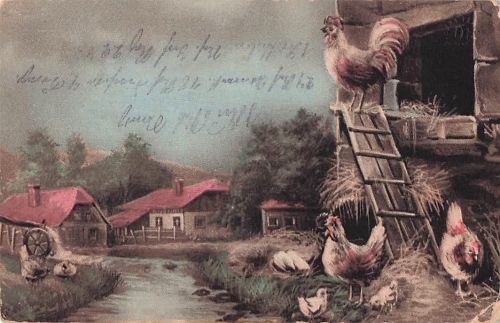 Künstler Ansichtskarte / Postkarte Müller, August, Hahn und Hühner mit Küken vor einer Hundehütte