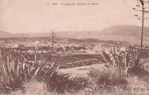 AK Fez, Vue générale-Quartier du Mellah
