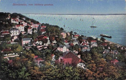 AK Hamburg-Blankenese, Vom Süllberg gesehen, Elbblick, Villen, Segelboote