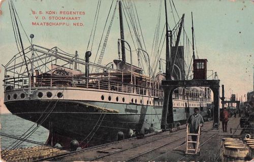 SS Koningin Regentes, Niederlande. Schiff. Postkarte.