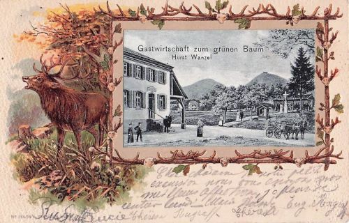 Gastwirtschaft zum grünen Baum