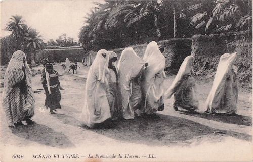 Ak Algerien, Haremsfrauen
