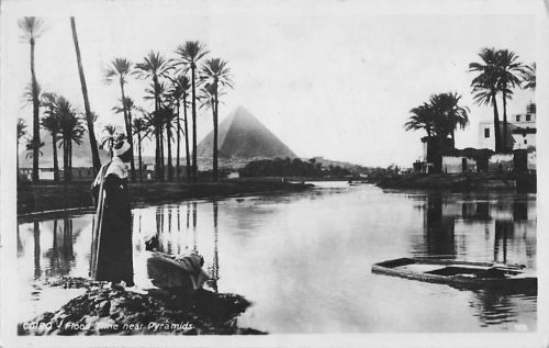 Ak Cairo Kairo Ägypten, Flood Time near Pyarmids, Pyramiden, Palmen