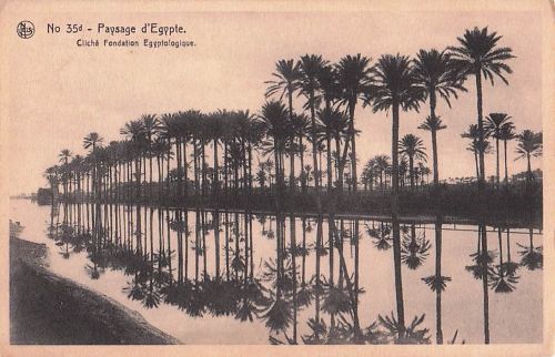 No 35d Paysage d'Egypte. Cliché Fondation Egyptologique.