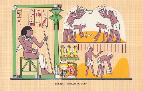 Maisdreschen, Ägypten, Kunst, Vintage-Postkarte, ca. 1960er Jahre