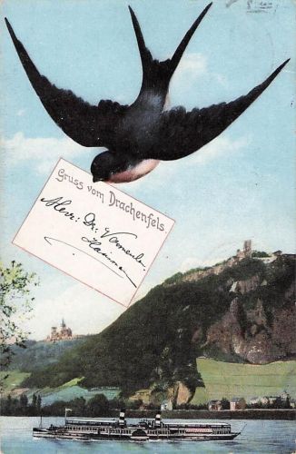 Gruss vom Drachenfels.