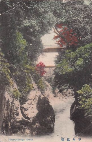 Monkey-Bridge, Koshu