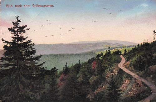 Blick nach dem Stübenwasen.