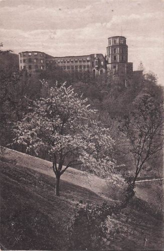Ansichtskarte Heidelberg Neckar Schloss Scheffelterrasse Kat. Heidelberg