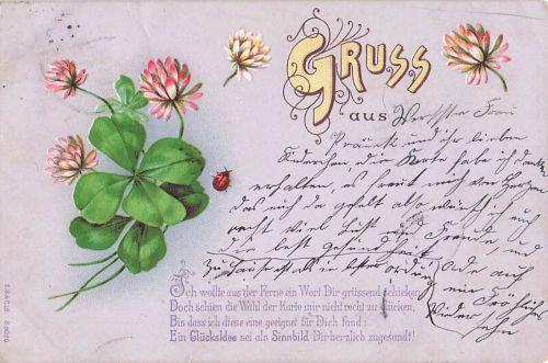 Marienkaefer Gruss aus