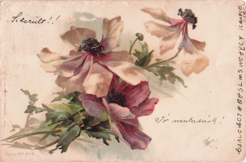 Künstler-AK Catharina Klein: Stillleben mit Anemonen in zarten Farben