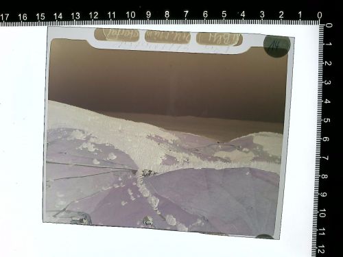 Münstertal/Schwarzwald