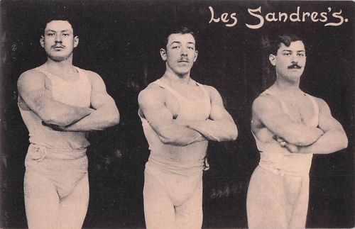 Les Sandres's
